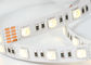 Iluminación decorativa de intensidad alta llevada flexible brillante estupenda de la tira 24V del RGB proveedor