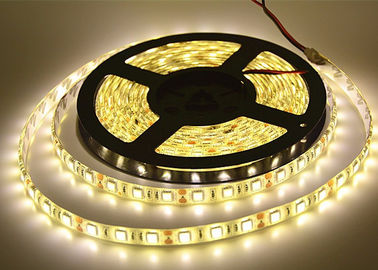 China Tira caliente del blanco SMD 5050 LED para flujo luminoso interior de la cinta casera 12V el alto proveedor