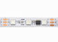 Del PWB de la magia del RGB LED de la tira cambio blanco del color del sueño de la prenda impermeable 12V DC 60leds no proveedor